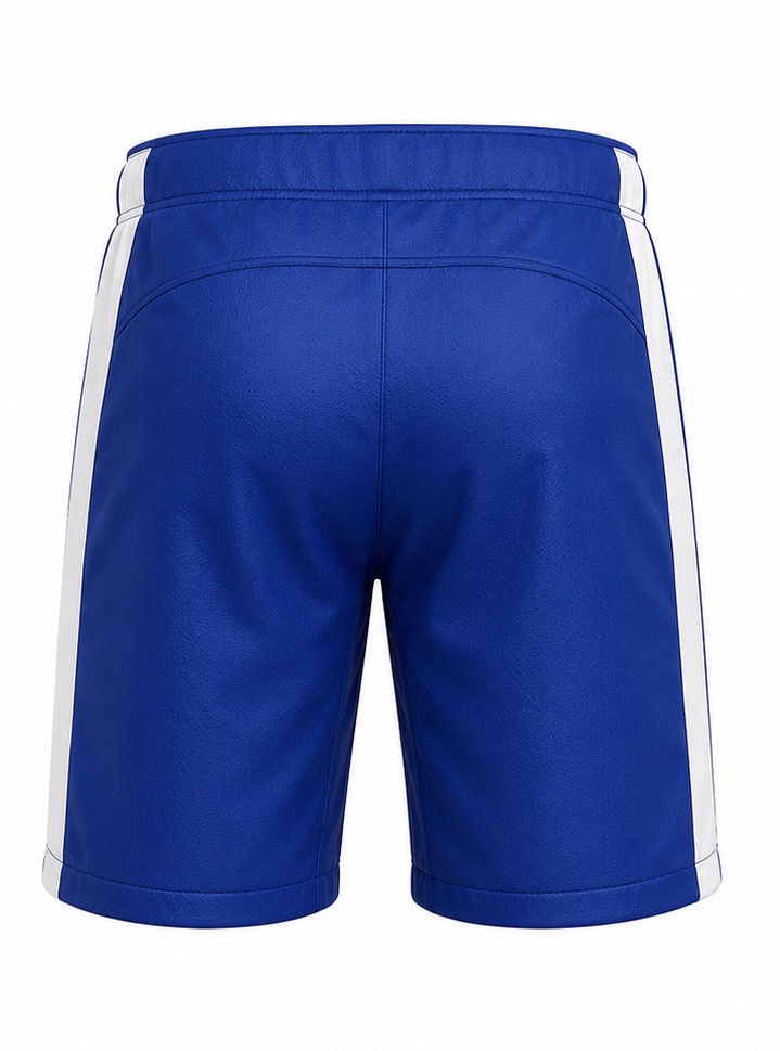 Products Ice Hockey Titan Elite Shorts Back